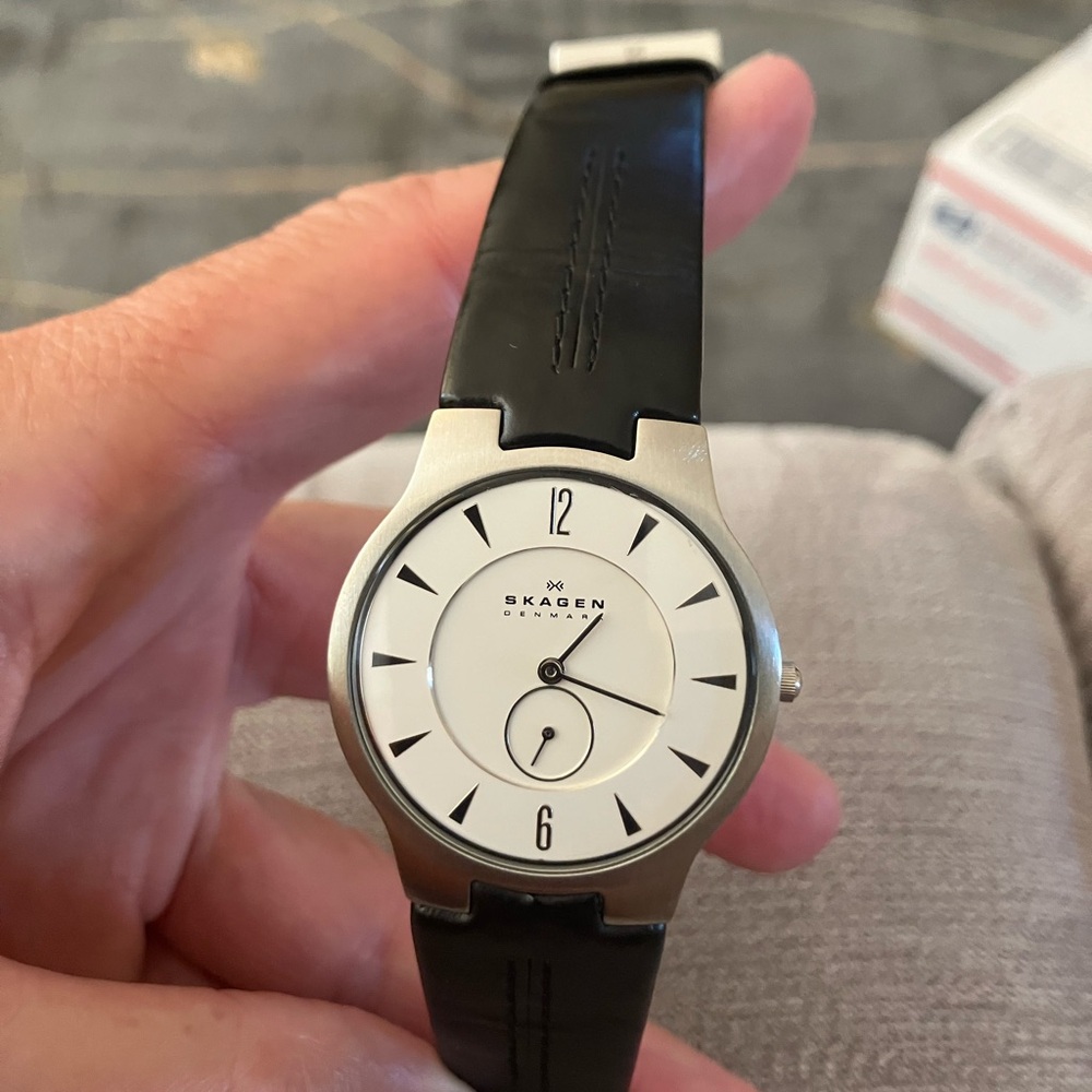 Skagen Silver and Black Men's Watch